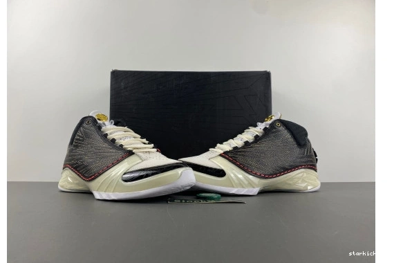 CZ6222-001 23 Jordan CZ6222-001  TITAN  1027